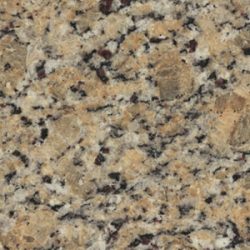 Amarillo Santa Cecilia Flor Amarillo Santa Cecilia Flor