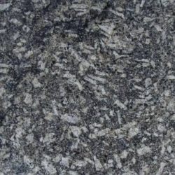 Beige Puma Web Beige Puma Web