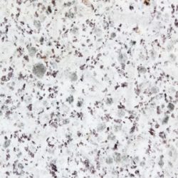 Blanco Perla Blanco Perla