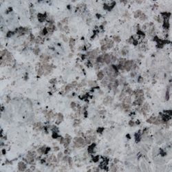 Gris Sardo Gris Sardo