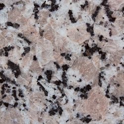 rosa-del-salto rosa-del-salto