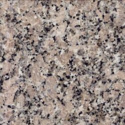 rosa-del-salto-beige rosa-del-salto-beige