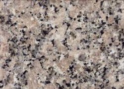 rosa-del-salto-beige2 rosa-del-salto-beige2